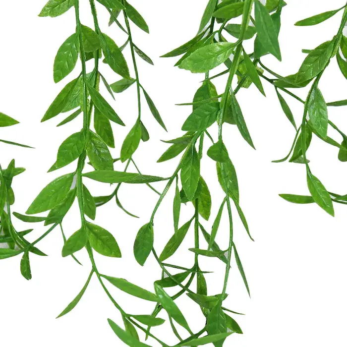 Feuilles de Saule et Vignes pour Décoration de la Maison