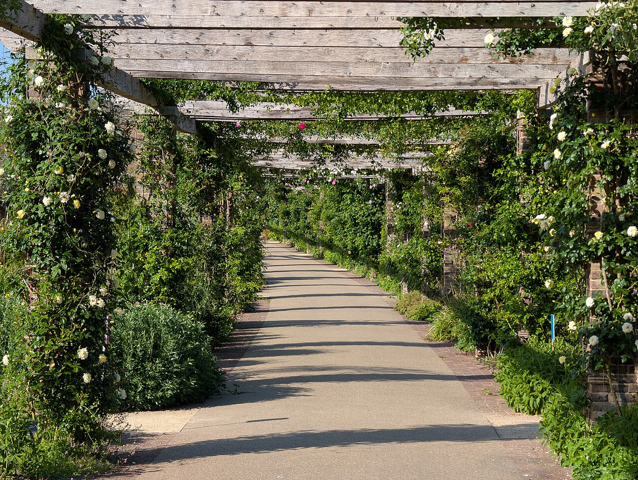 Pergola bioclimatique autoportée aluminium
